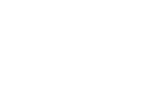 IDEA Foundation
